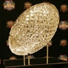 bcs trophy