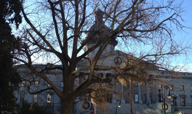 sc senator transparency budget