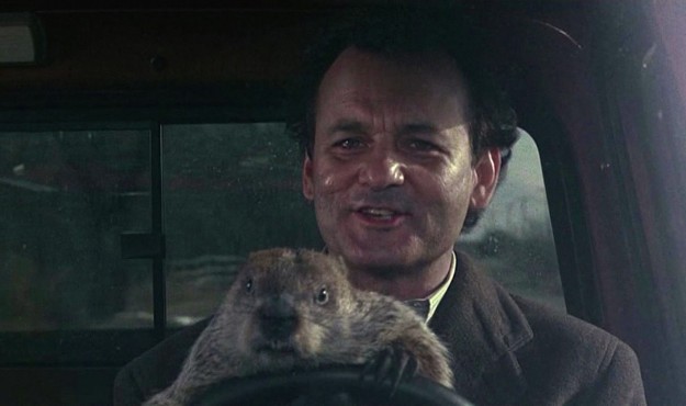 groundhog day