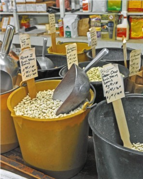 Purchasing Beans (821x1024) (1)