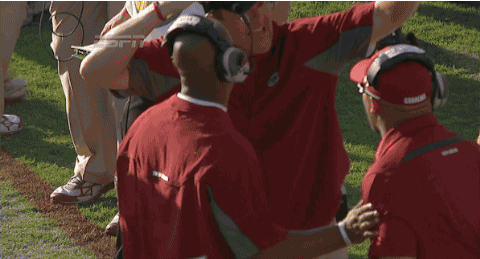 CarolinaCoachesFight