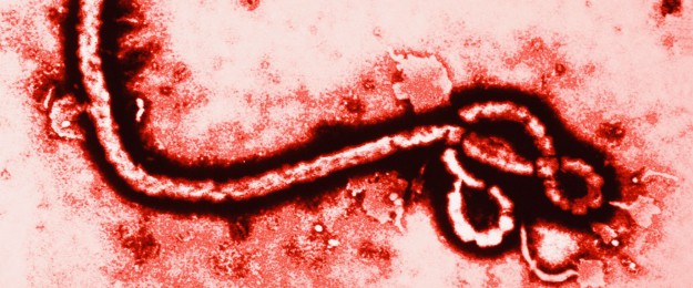 ebola