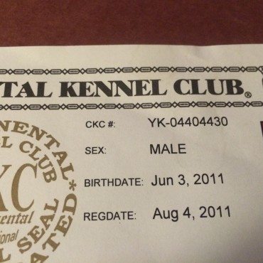 shealy dog registration