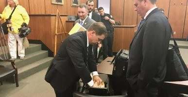 David Pascoe David Pascoe