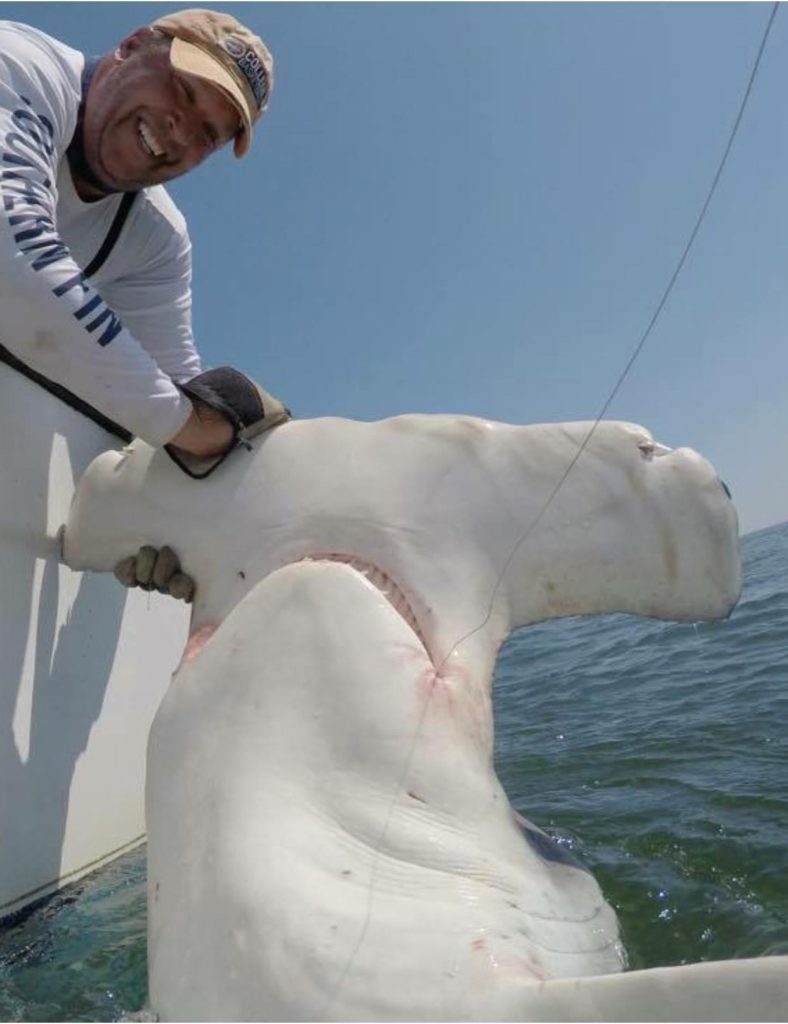 South Carolina Shark