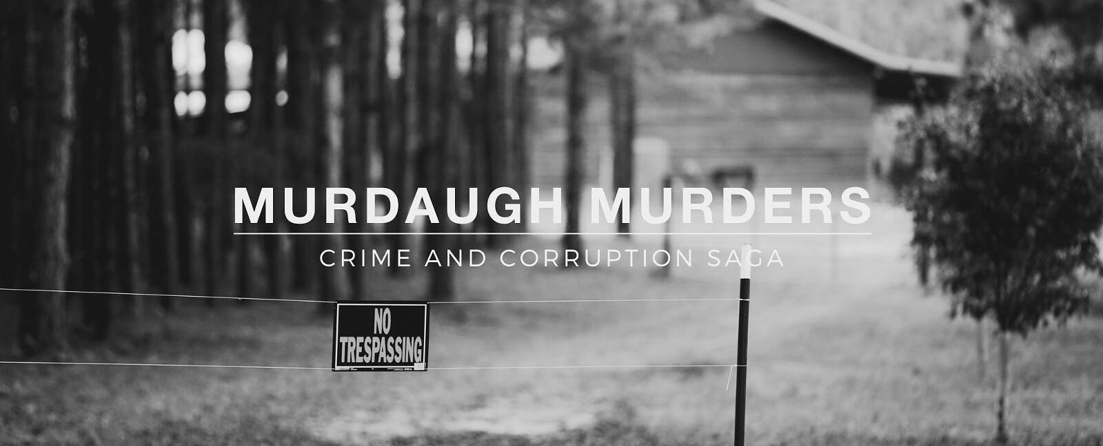 Alex Murdaugh Murder Trial Moselle Property