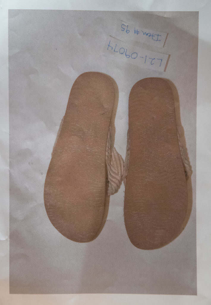 0222-evidence-jb-565-2_52704803737_o