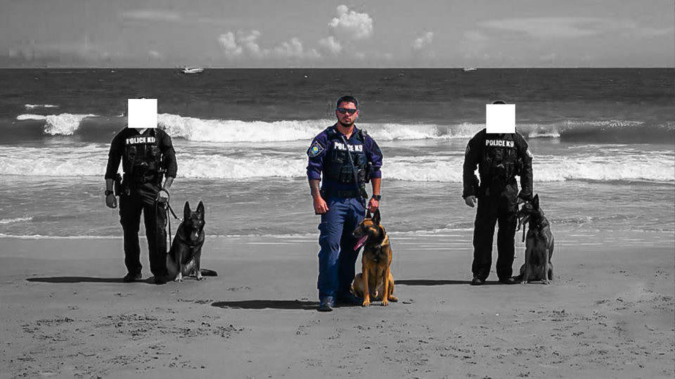 Myrtle Beach Police Department. MBPD. Domestic Violence. Christopher Michael Turner.