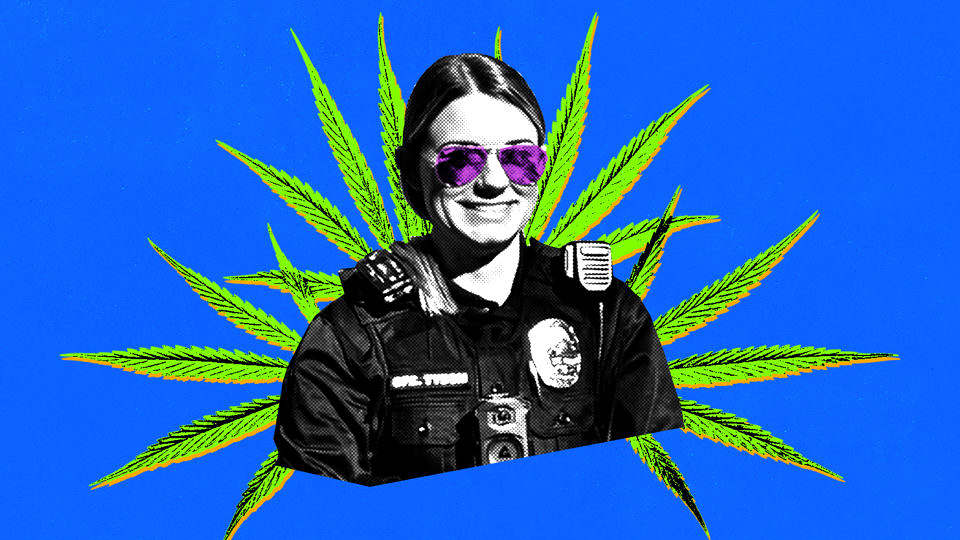 Wellford Police Department. South Carolina Criminal Justice Academy. South Carolina Law Enforcement Training Council. Chief David Green. Sydney Tyson. Corruption. Cover up. Greenville County. Spartanburg County.